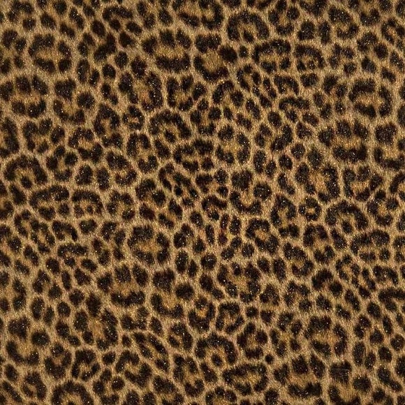 Cheetah - Picture 1 of 1